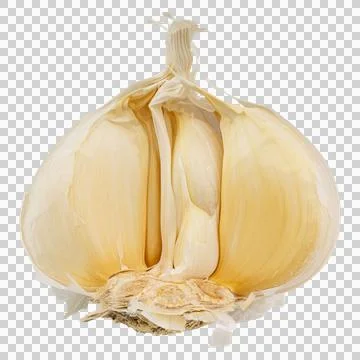 Garlic Stock Photos