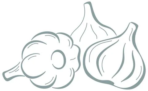 Garlic, pictogram Stock Illustration