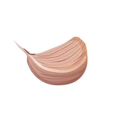 Garlic piece in flat design. Spice for cooking, seasoning ripe plant. Vecto.. Stock Illustration