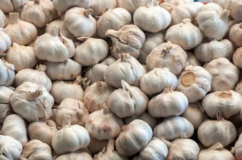 Garlic pile background Stock Photos