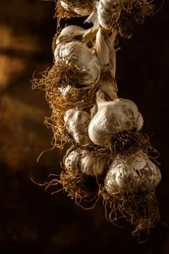 Garlic Plait Stock Photos