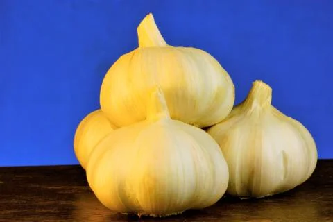 Garlic is a popular vegetable, sharp taste and characteristic smell. Stock Photos