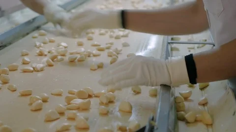 Garlic processing , production and selection at the factory. Stock Footage 117434080