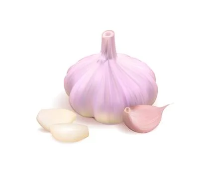 Garlic realistic 3d Vector isolated illustration Иллюстрация