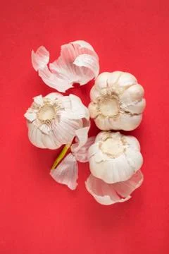 Garlic on red background Foto stock