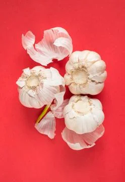Garlic on red background Stock Photos