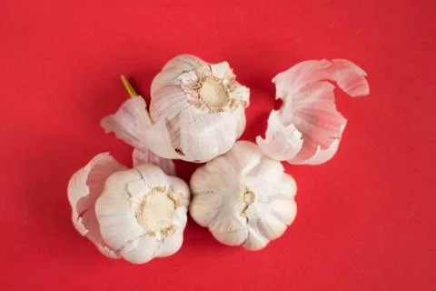 Garlic on red background Stock Photos