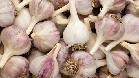 Garlic with roots, top view. Stock Footage 138343733