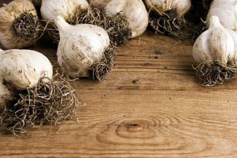 Garlic on rough chopping board Stock Photos