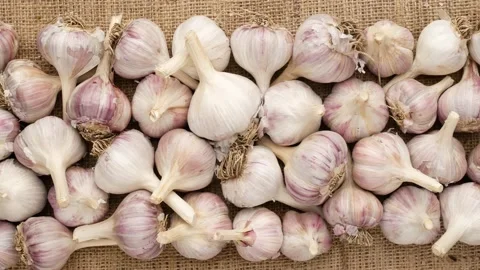Garlic on sacking. Garlic, dolly shot. Stock Footage 138580761