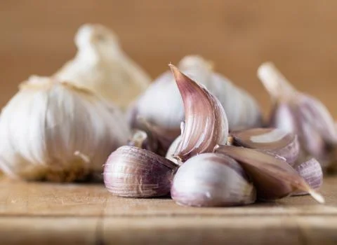 Garlic selective focus Stock Photos