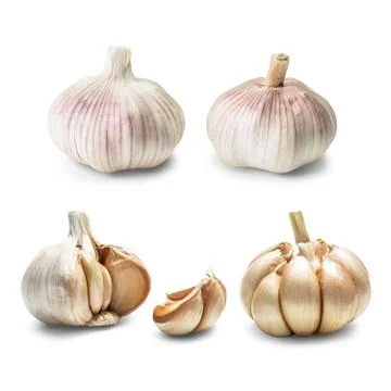 Garlic set isolated Stock Photos
