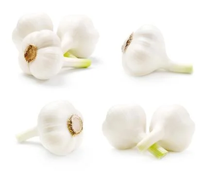 Garlic set. Stock Photos