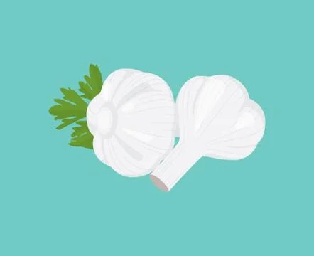 Garlic single isolated object with vector graphic Stock Illustration