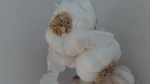 Garlic spinning on a String Stock Footage 244848641