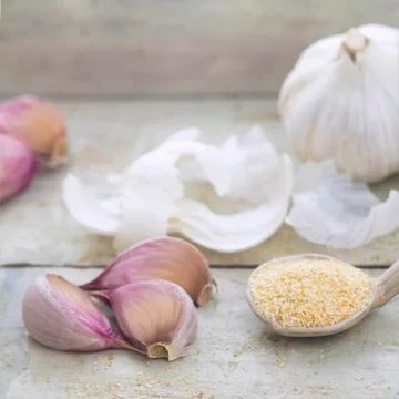 Garlic square Stock Photos