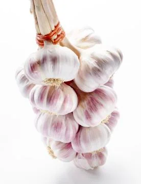 Garlic string isolated on a white background with shadow Stock Photos