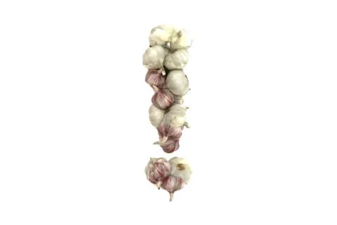 Garlic symbol ! on white background Stock Illustration