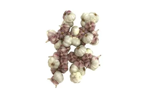 Garlic symbol # on white background Stock Illustration