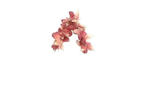 Garlic symbol ^ on white background Stock Illustration