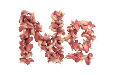 Garlic symbol on white background Stock Illustration
