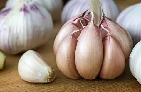 Garlic on the table closeup. Stock Photos