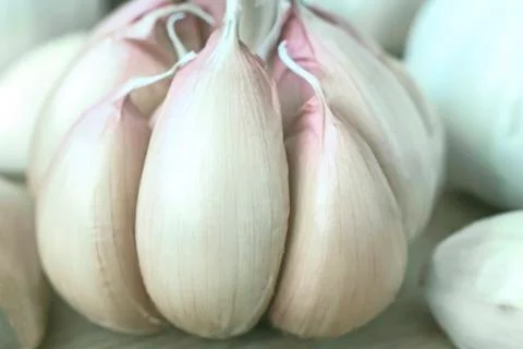Garlic on the table closeup. Stock Photos
