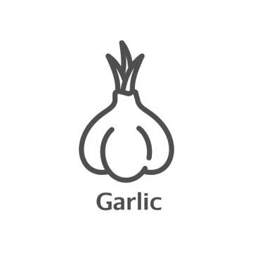 Garlic thin line vector icon. Isolated condiment linear style for menu, label Stock Illustration
