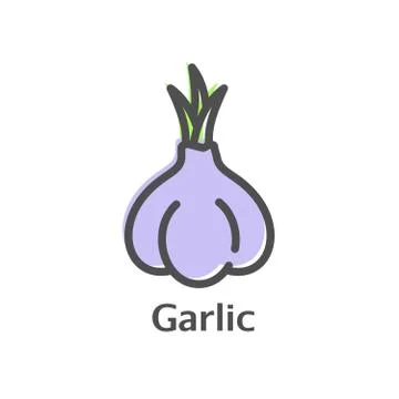 Garlic thin line vector icon. Isolated condiment linear style for menu, label Stock Illustration