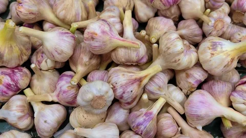 Garlic top view. Garlic texture. Organic vegetable texture. Grocery store. Stock Footage 308286997