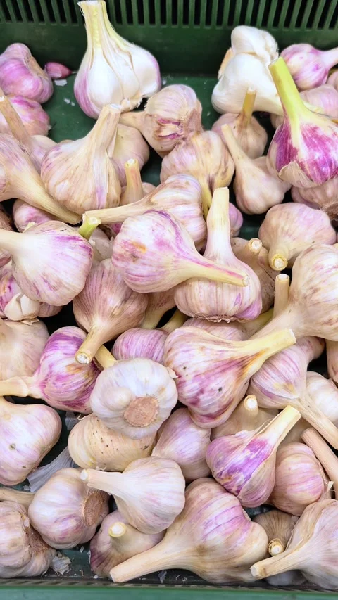 Garlic top view. Garlic texture. Organic vegetable texture. Grocery store. Video stock 309166637