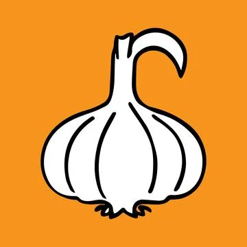 Garlic vector art design Ilustración de archivo