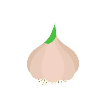 Garlic vegetable icon line colored. Spice line flat illustration Stock-Illustration