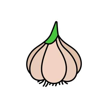 Garlic vegetable icon line colored. Spice line flat illustration Illustrazione stock