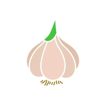 Garlic vegetable icon line colored. Spice line flat illustration Stock-Illustration