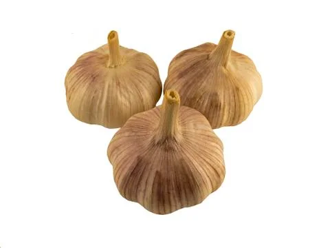 Garlic vegetable 写真素材