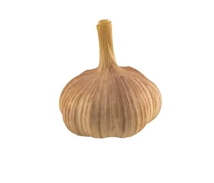 Garlic vegetable 写真素材