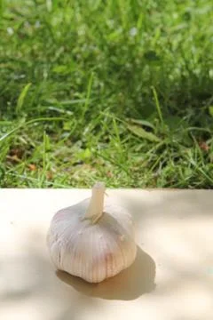 Garlic vegetable Stock Photos
