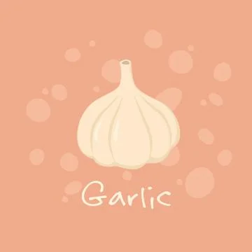 Garlic Vegetable vector Stock-Illustration