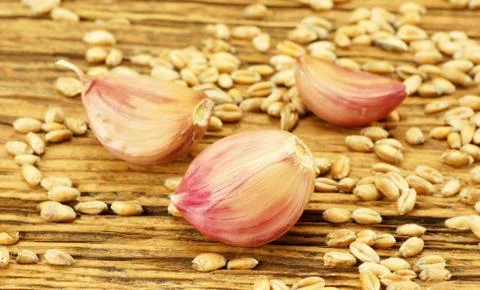 Garlic from wheat Stock Photos