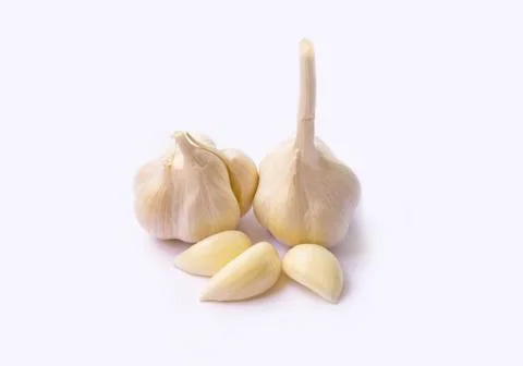 Garlic on white background Stock Photos