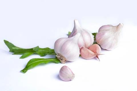 Garlic on a white background Stock Photos