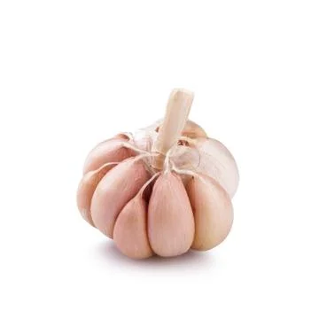 Garlic on white background Stock Photos