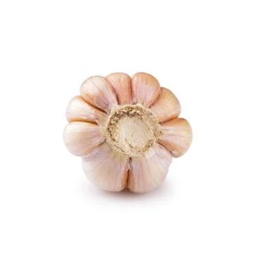 Garlic on white background Stock Photos