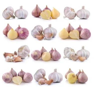 Garlic on white background Stock Photos