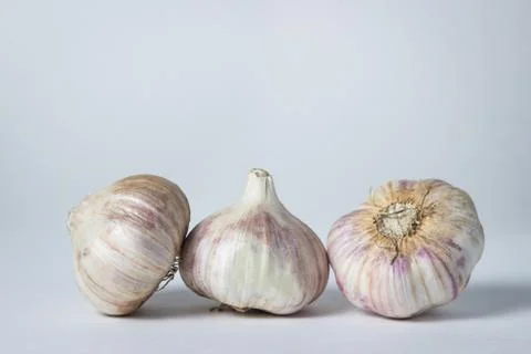 Garlic on a white background.  Stock Photos