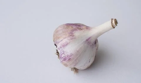 Garlic on a white background Stock Photos