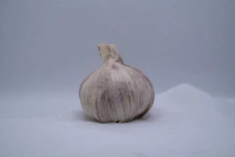 Garlic with a white background Stock Photos