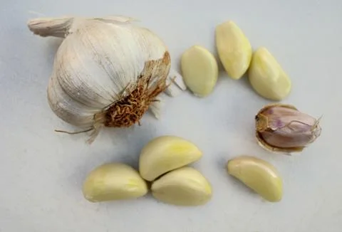 Garlic on a white background Stock Photos