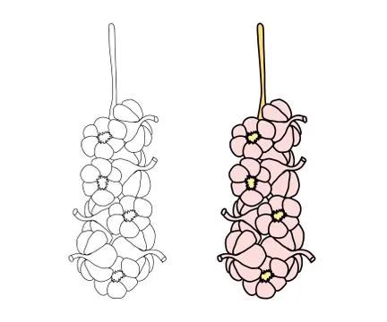 Garlic on a white background. Sketch. Vegetable. Vector Stock Illustration